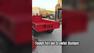 Máy vận chuyển đường ray cho địa hình khó khăn